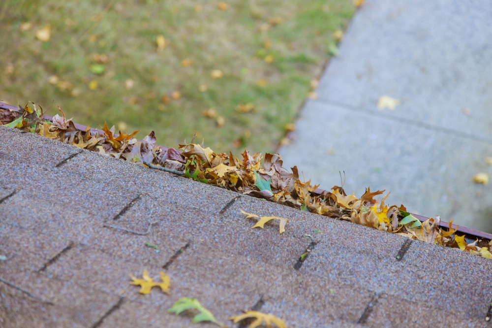 Best Gutter Cleaning in Kansas City